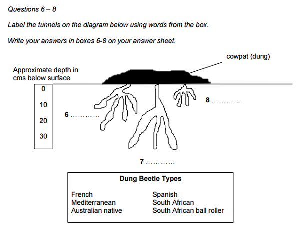 dạng b&agrave;i compreting secntense