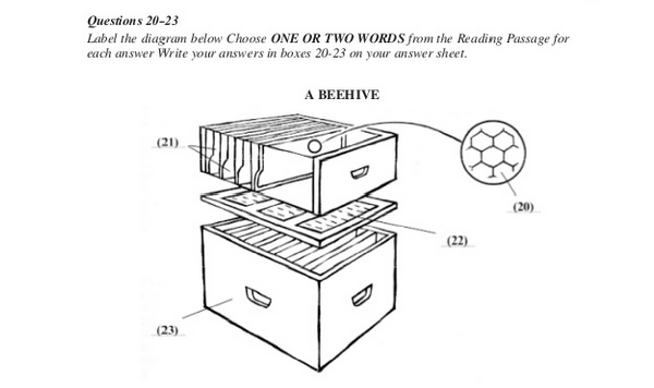 dạng b&agrave;i compreting secntense
