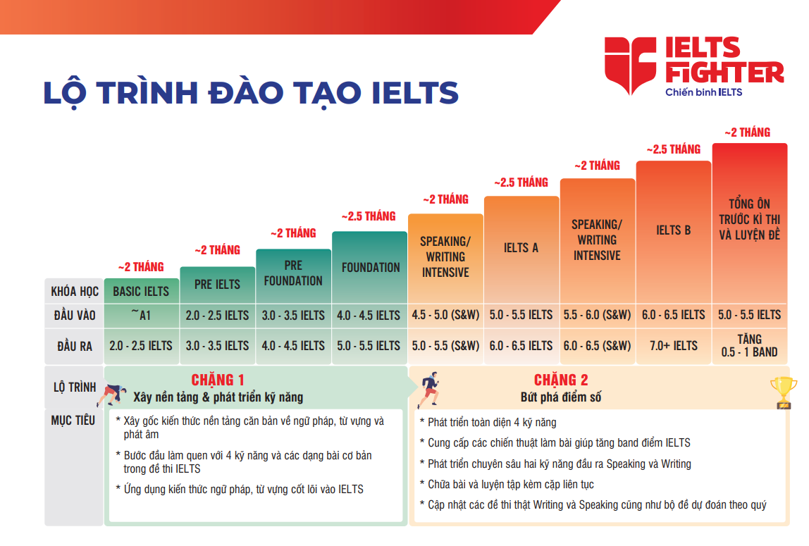 lộ trình học IELTS Fighter