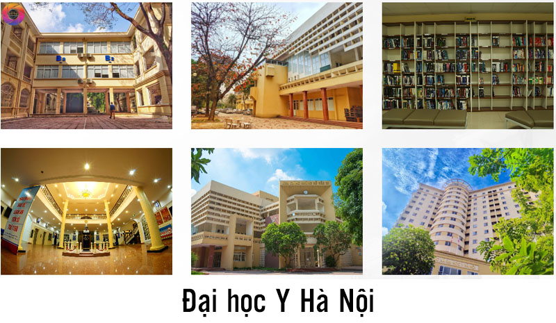 khuôn viên đại học y hà nội