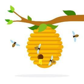 ielts reading topic animals 4
