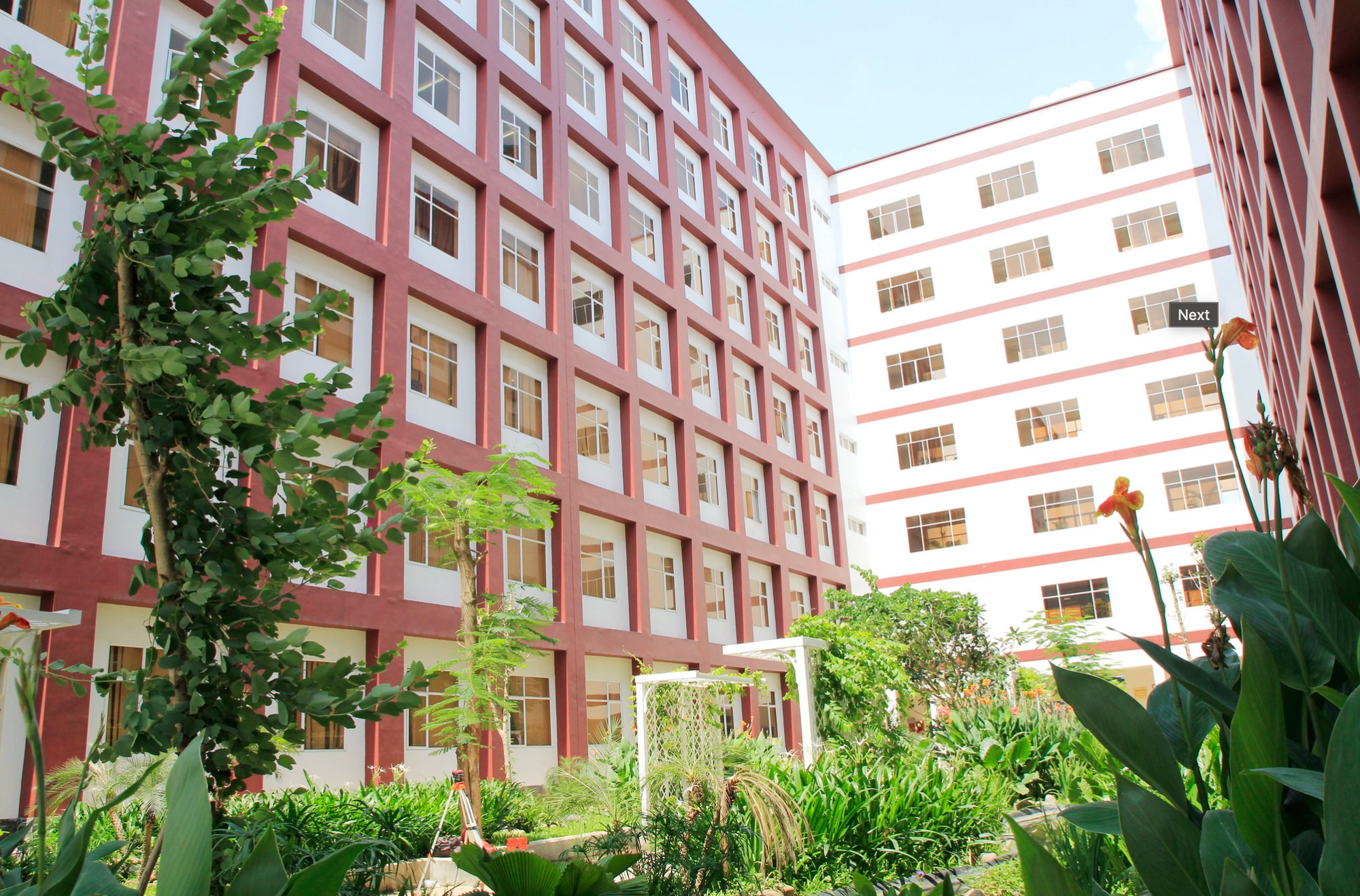khuôn viên nhiều cây của trường đại học quốc tế HCM
