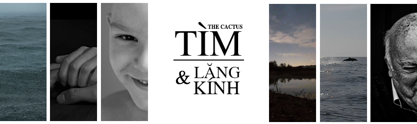 The Cactus dự án