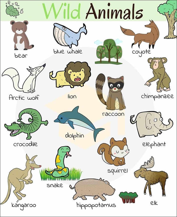 Wild animals 2