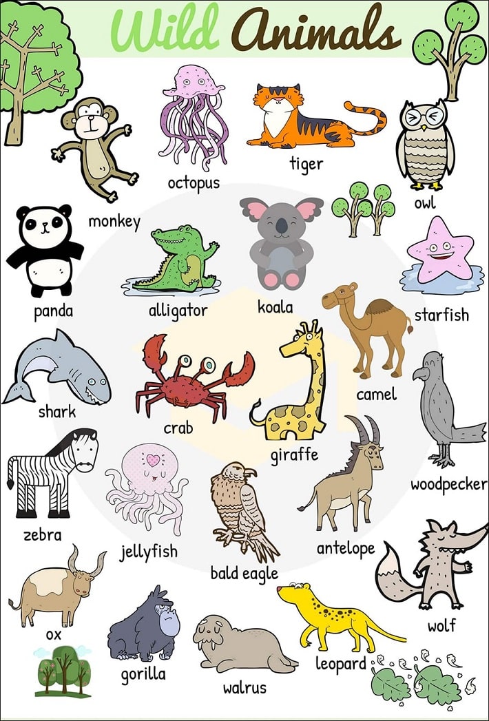 Wild animals