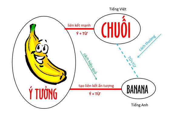 Ngữ ph&aacute;p trong IELTS - Li&ecirc;n kết &yacute; tưởng