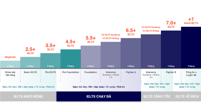 Lộ trình đào tạo IELTS toàn diện - khóa IELTS Master