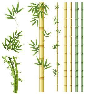 ielts reading topic Plants 1