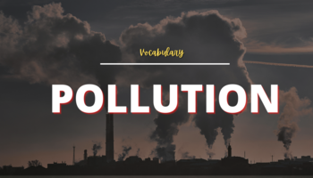tu-vung-tieng-anh-ve-chu-de-o-nhiem-moi-truong-pollution-1781